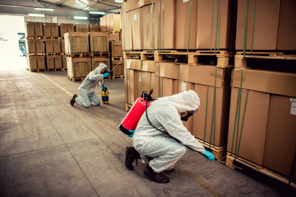 Best Residential Pest Control  in Guin, AL
