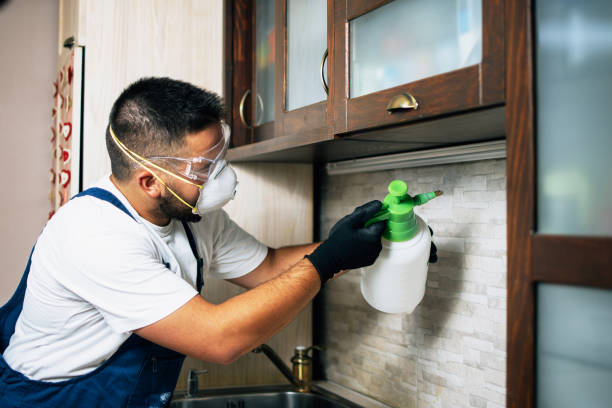 Best Flea Control Services  in Guin, AL