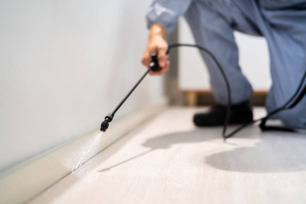 Best Pest Removal Services  in Guin, AL