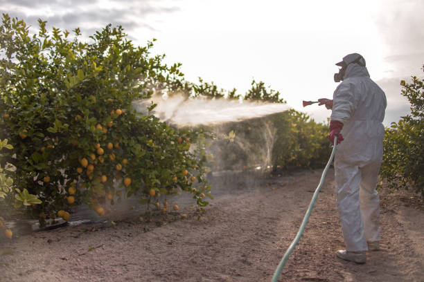 Best Best Pest Control Near Me  in Guin, AL